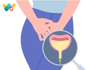 Urinary Tract Infections - UTI